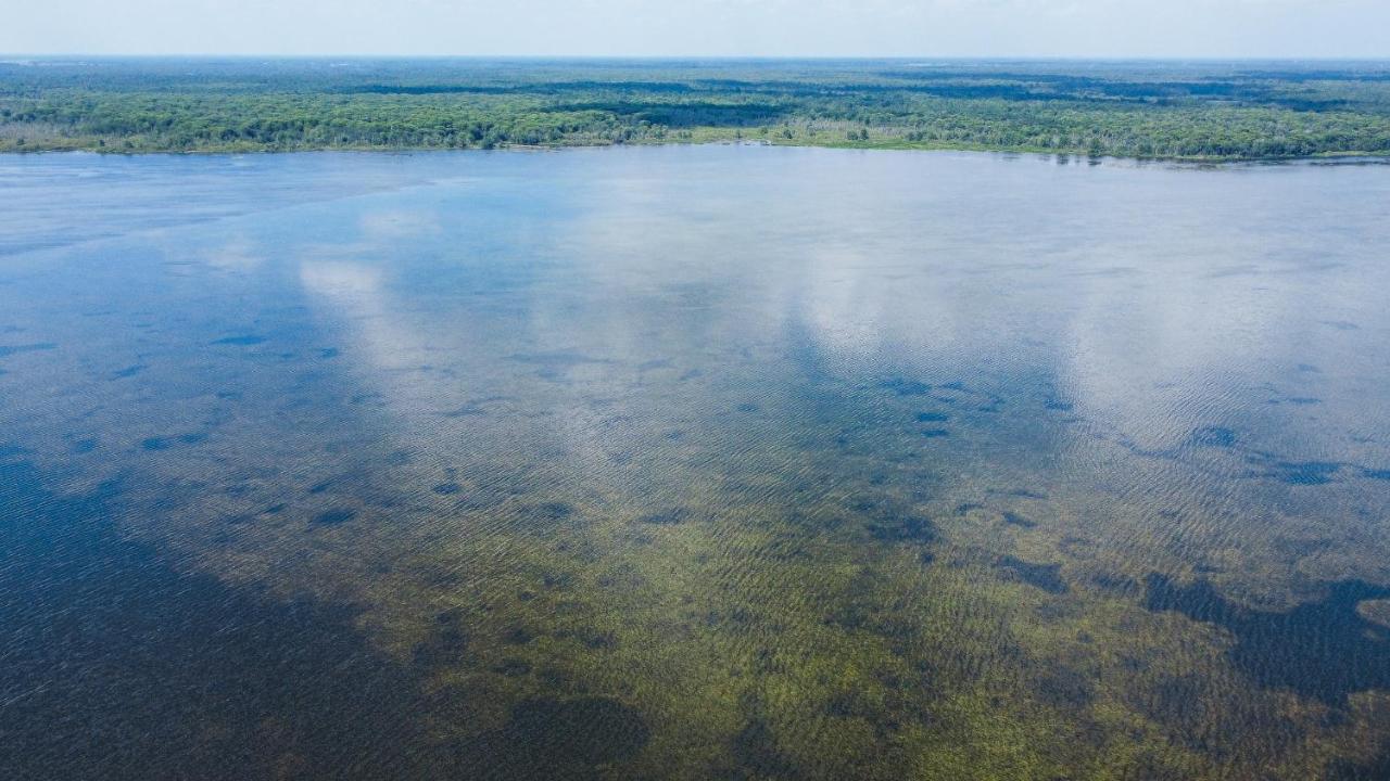 Idlewild Lodge And Rv Park Lake Panasoffkee Екстериор снимка